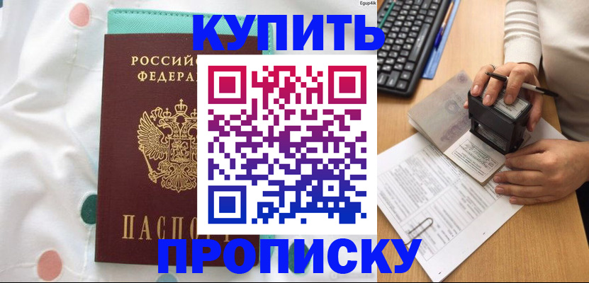 прописка в квартире в Чкаловске